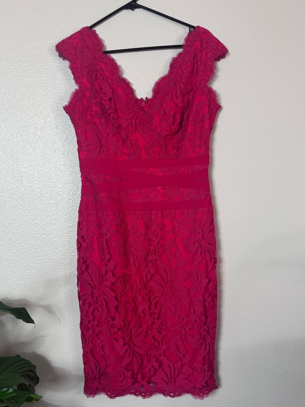 Tadashi Shoji Lace Dress